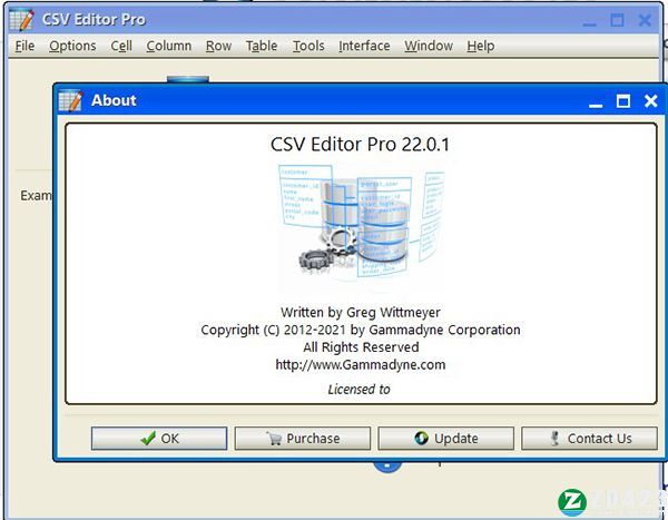 Gammadyne CSv Editor 22
