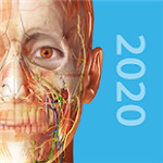 2020人体解剖学图谱v2020.0.73