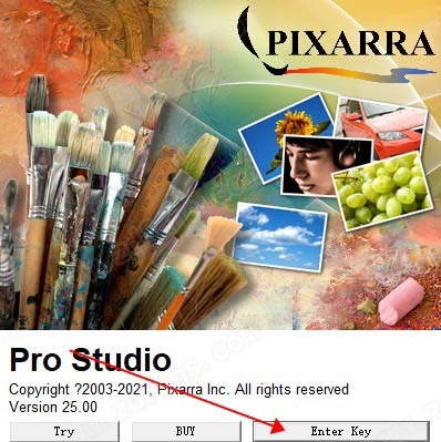 Pixarra TwistedBrush Pro Studio 25