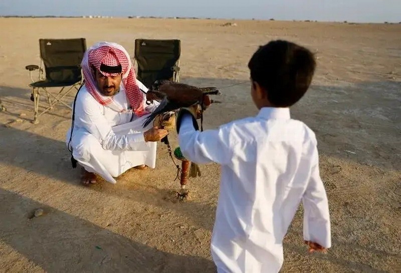 卡塔尔家长教育方式：鼓励孩子训鹰 比玩电子游戏好()