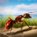 蚂蚁向前冲 v1.0