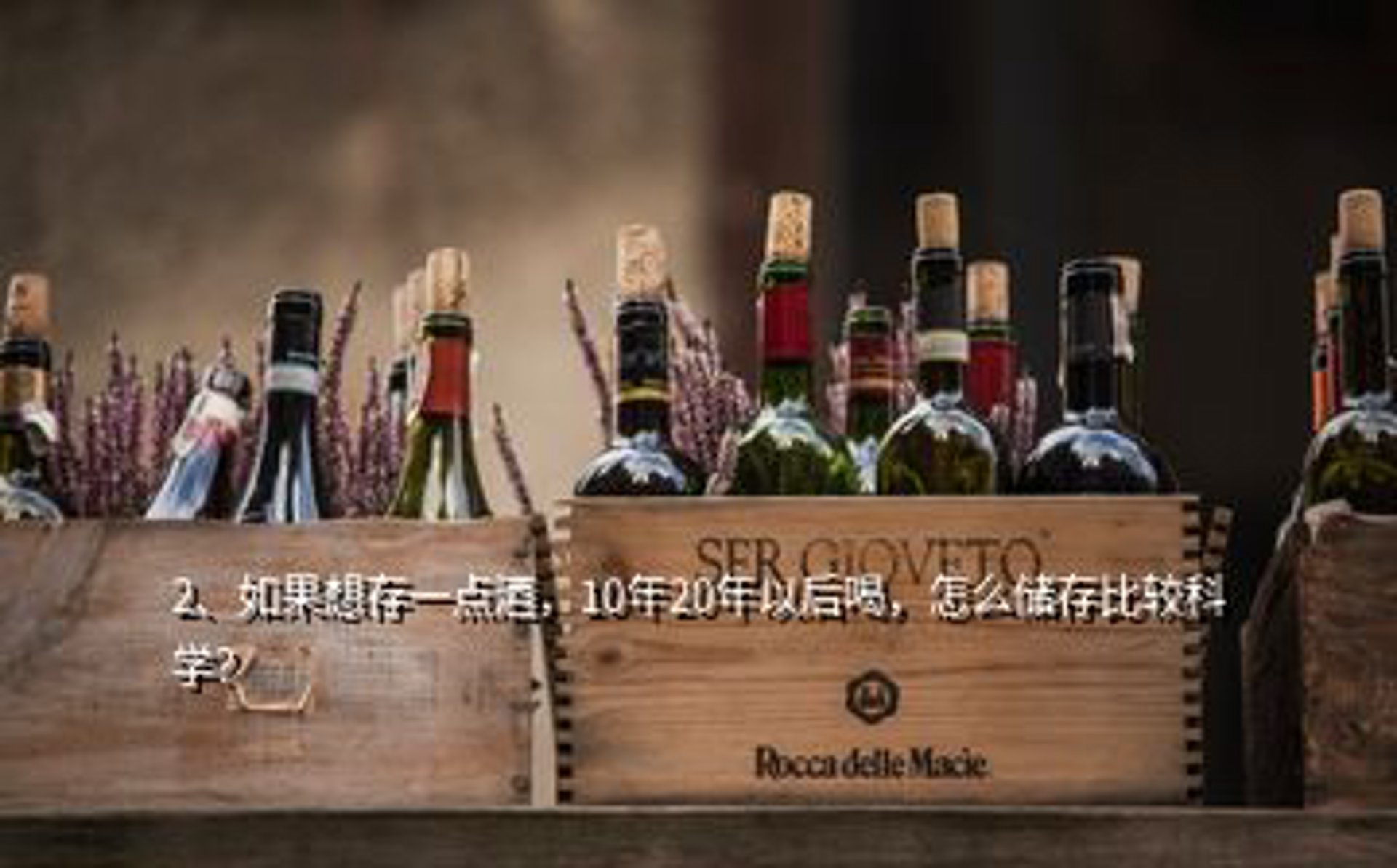 阿尔博拉酒庄